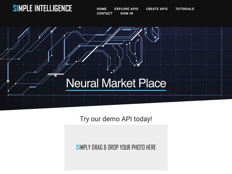 Simple Intelligence