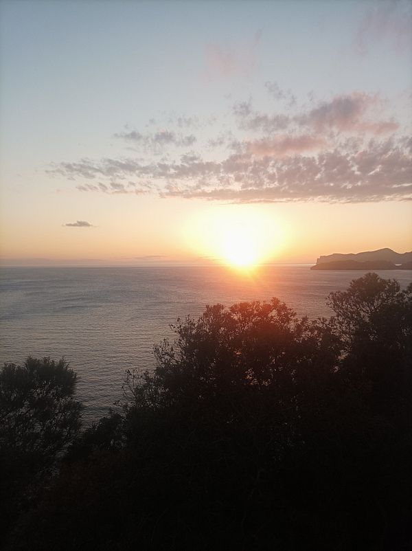 A beautiful sunset over the ocean, framed by trees in the foreground.