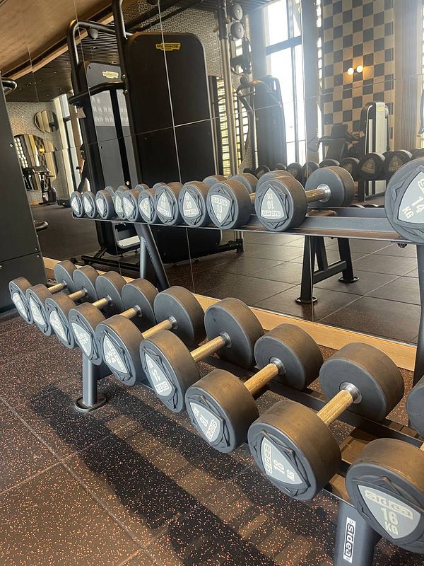 A well-organized gym area featuring a rack of dumbbells.