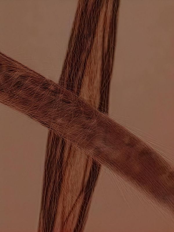 The image features a close-up of intertwined strands resembling hair or fibers against a muted background.