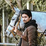 Seb