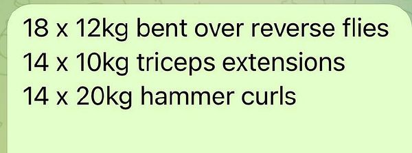 A workout plan detailing specific exercises and weights.