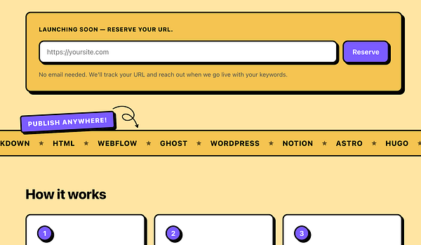 Close-up macro photograph of a polished brown insect exoskeleton against a dark background.