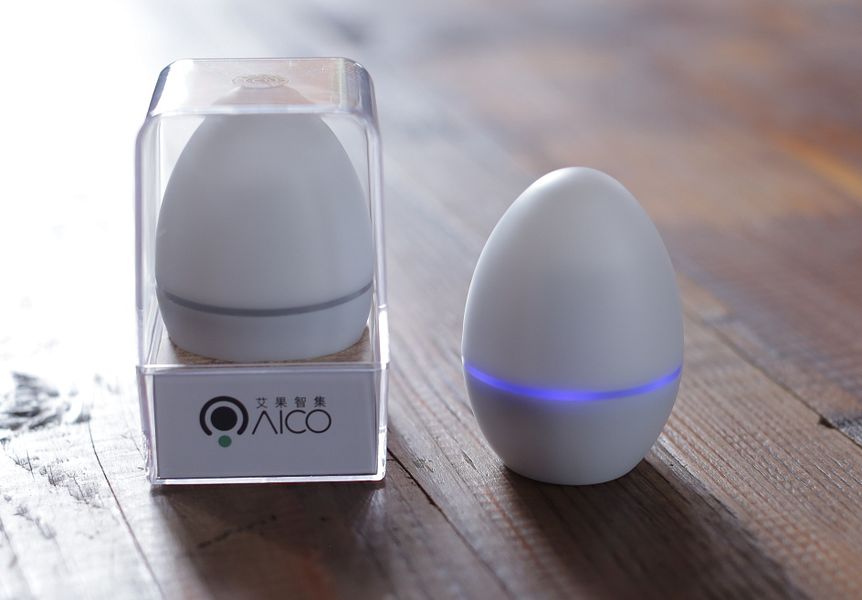 Smart Egg