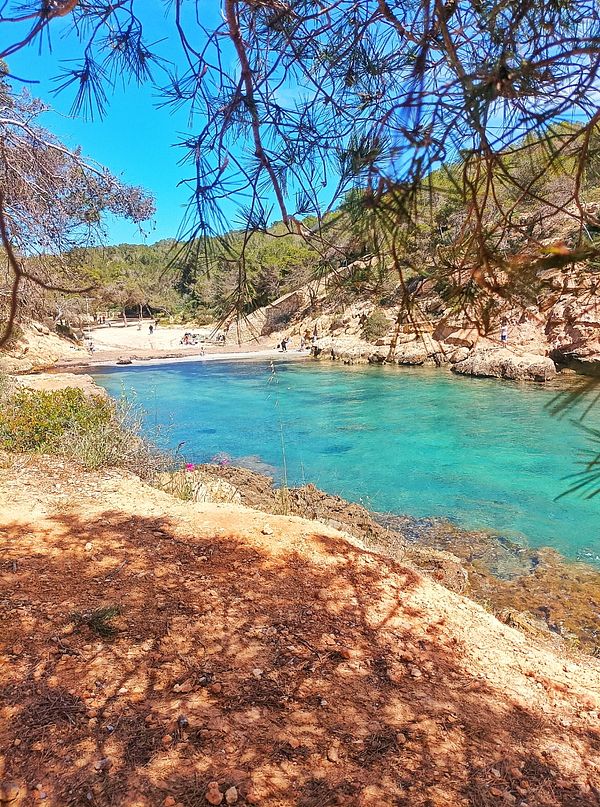 A serene coastal scene featuring clear turquoise water and a sandy beach surrounded by greenery.