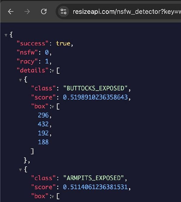 A computer screen displaying code in an integrated development environment focusing on a JSON configuration file.