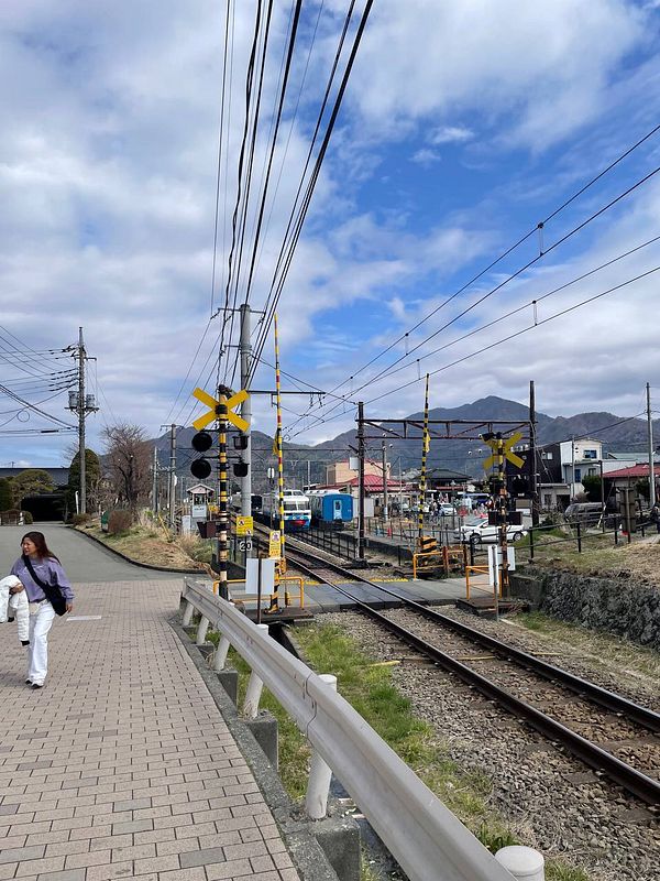 A scenic view of Mt. Fuji with cherry blossoms in full bloom along a riverbank, accompanied by a wooden fence and pathway.