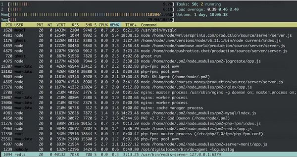 The image shows a terminal displaying system process information using the 'top' command.