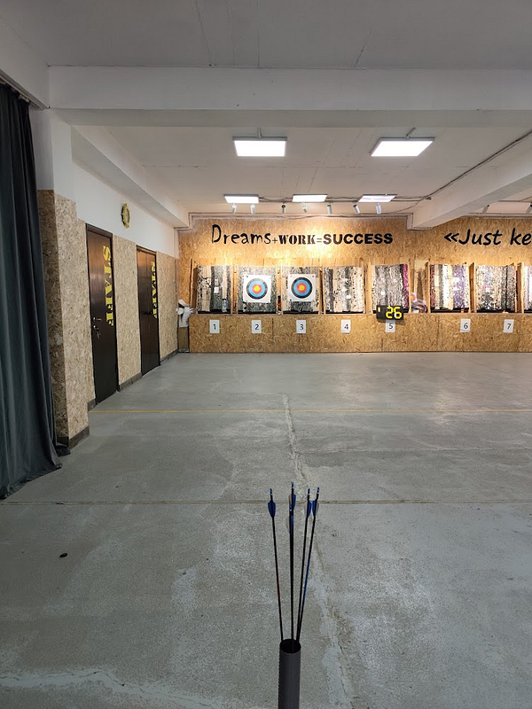 A serene outdoor scene shows a person practicing archery alone in a natural setting with red-roofed buildings in the background.