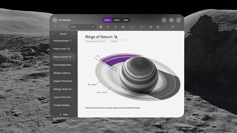 Screenshot of Microsoft OneNote