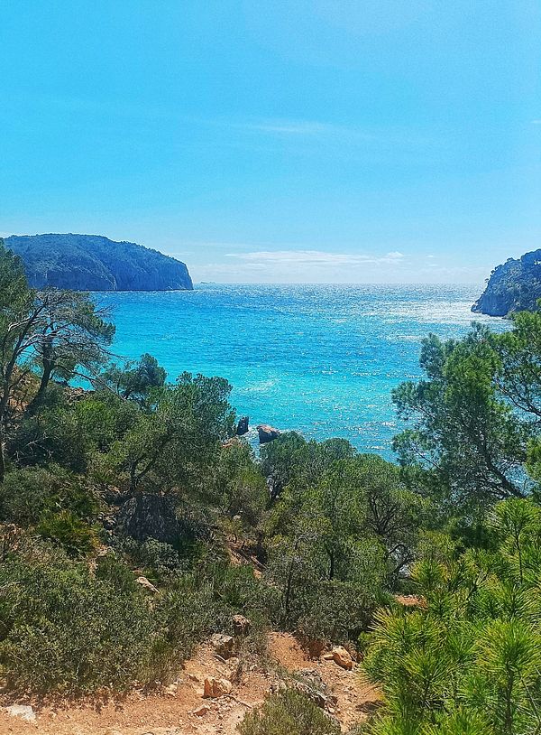 A scenic view of a vibrant blue sea surrounded by lush greenery and rocky cliffs.