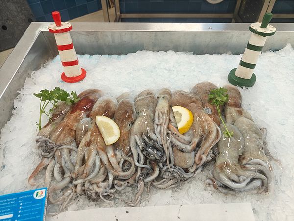 A display of freshly caught octopus on ice at a market.