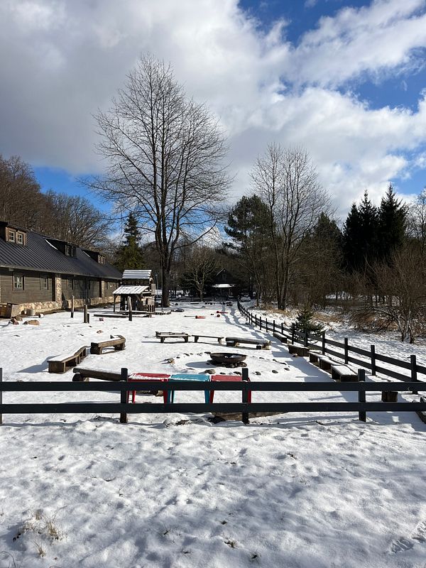 A serene winter landscape featuring a snow-covered area with trees and a rustic building.