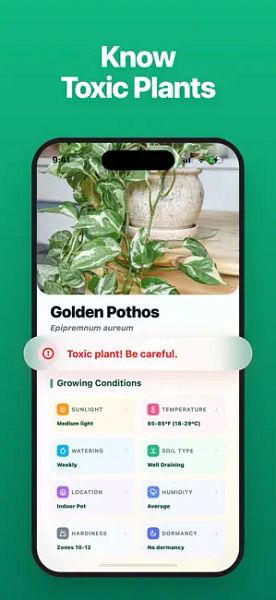 LivePlant