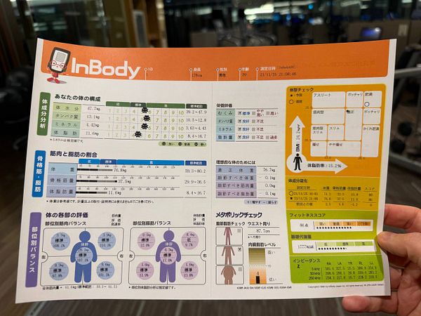 The image displays an InBody scan report detailing body composition metrics.