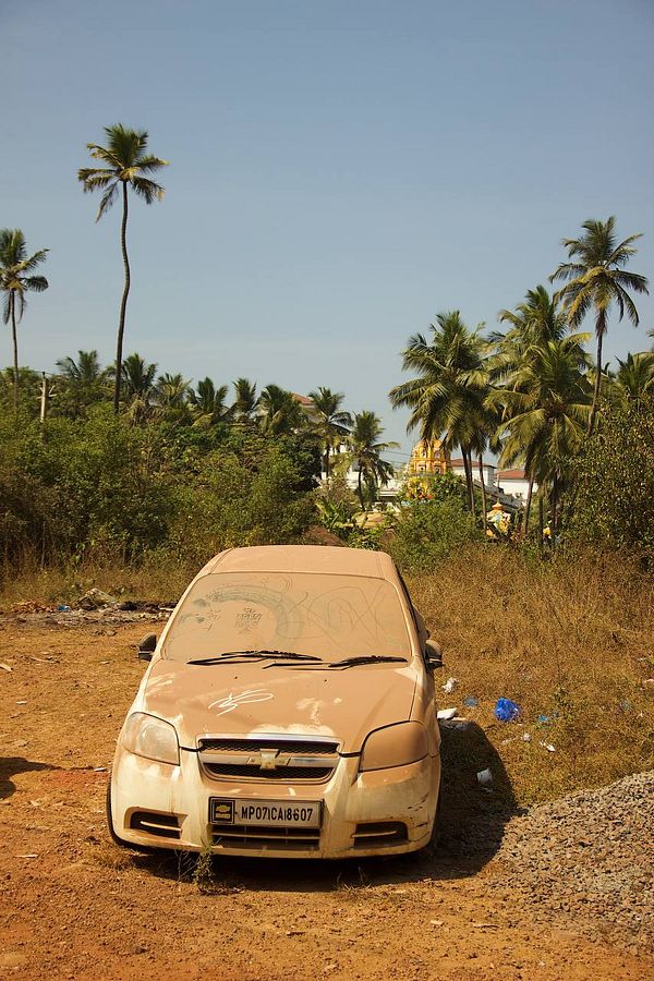 An abandoned, dusty car is surrounded by lush palm trees and a clear blue sky.