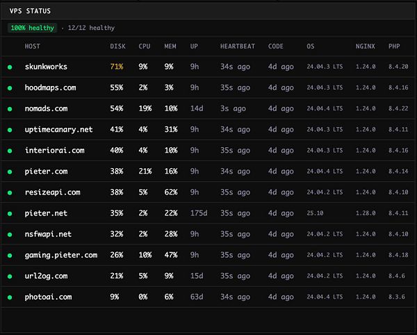 Screenshot of a terminal window showing details for VPS uptime and related server information.