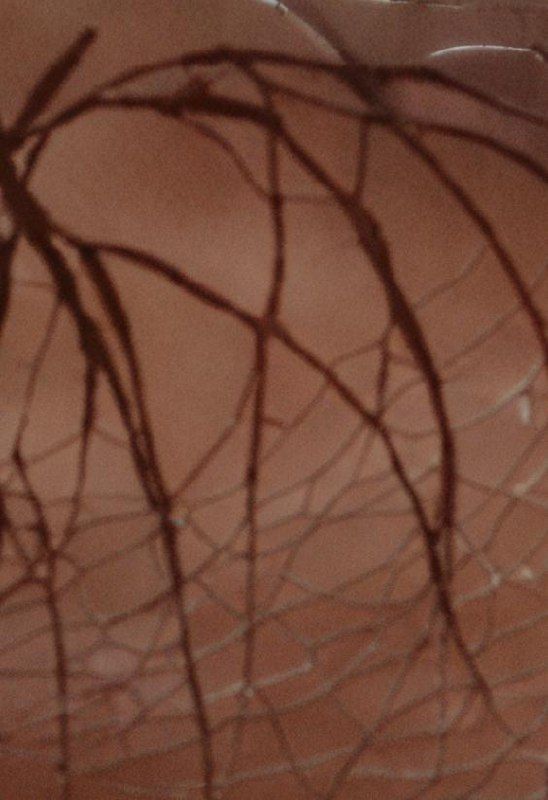 The image features an abstract close-up of a textured surface with intricate lines and patterns.