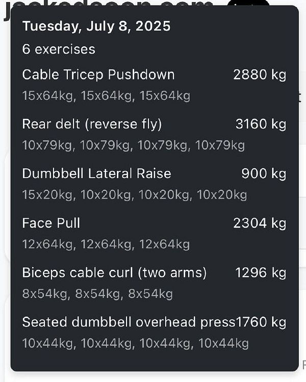 A detailed workout log for a gym session on July 8, 2025, listing six exercises with their respective weights and repetitions.