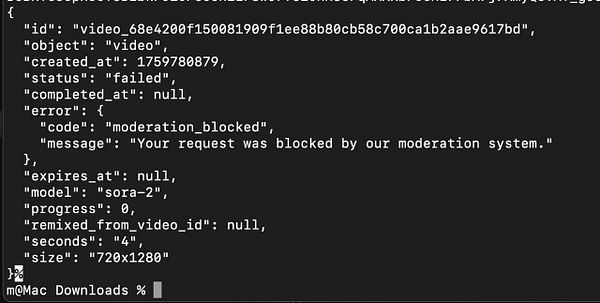 The image displays a terminal window showing an error message related to a video processing request.