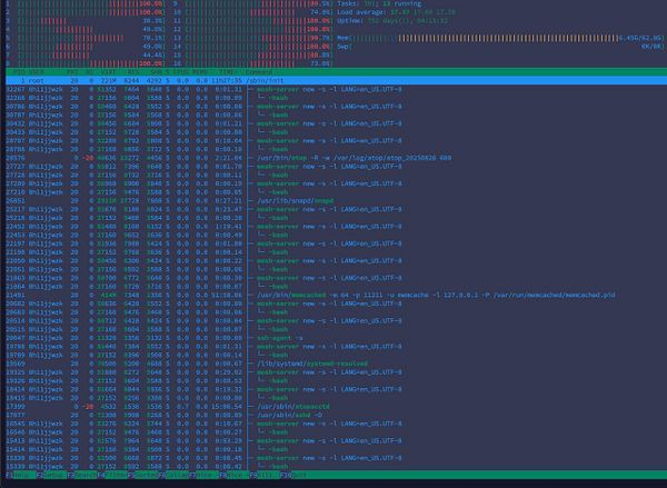 The image displays a terminal interface showing system performance metrics and running processes.