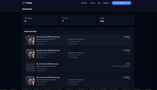 The image displays a dashboard interface for the Tinyup application, showing API usage and recent activity logs.