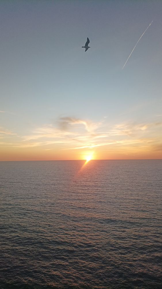 A person stands on a rocky hill at sunset, gazing over a valley and mountain range under a colorful sky.