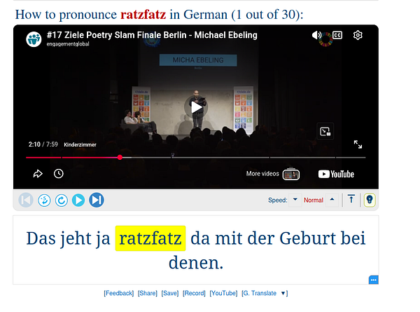 A German language learning worksheet featuring exercises converting singular sentences to plural and vice versa.