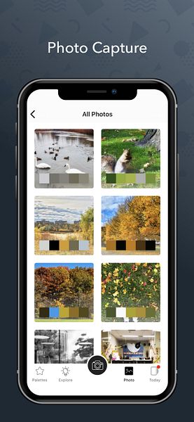 Color Collect - Palette Design