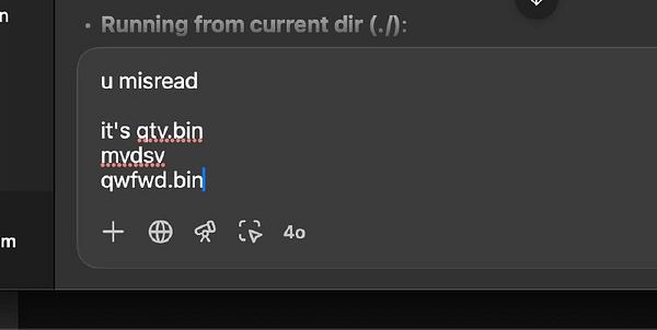 A terminal interface displaying a conversation about file names.