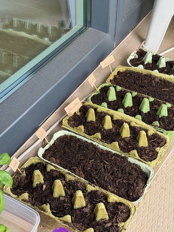 The image features a balcony gardening setup with seed trays and labeled plant types.