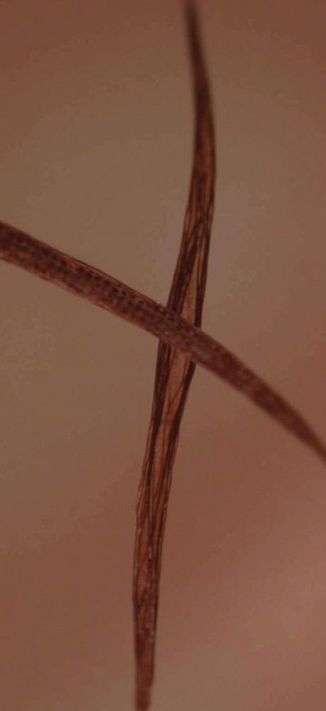 The image features two thin, elongated strands intersecting against a soft, blurred background.