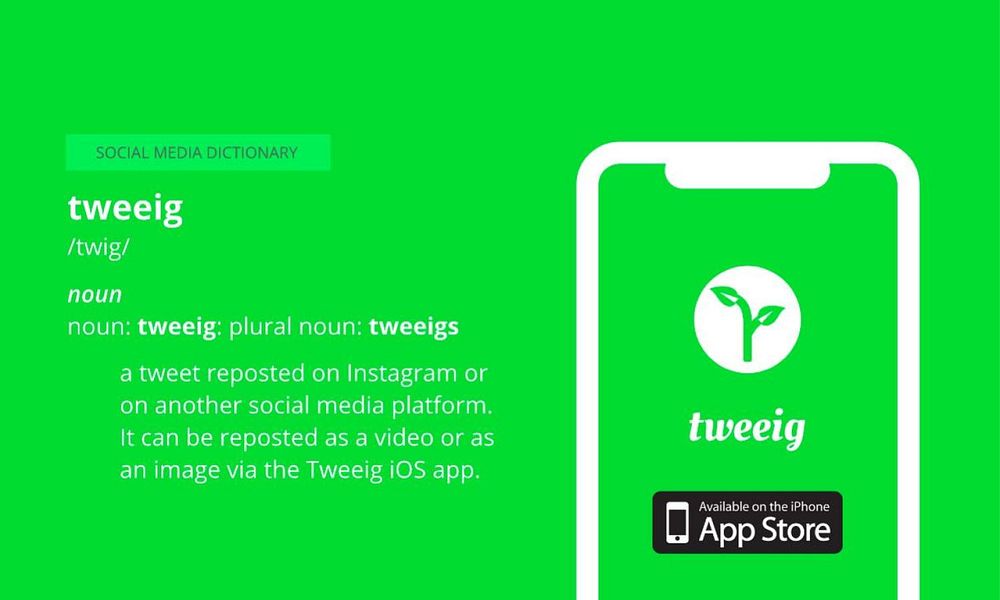 Tweeig 2.0