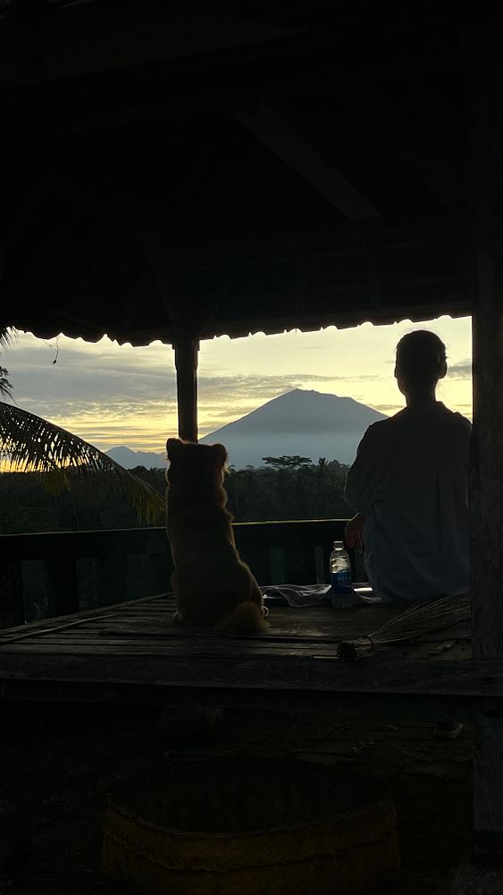 A person and a dog sit together on a wooden platform, watching a sunrise over a mountain.