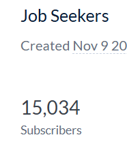 The image displays a dashboard section for a newsletter with subscriber statistics.