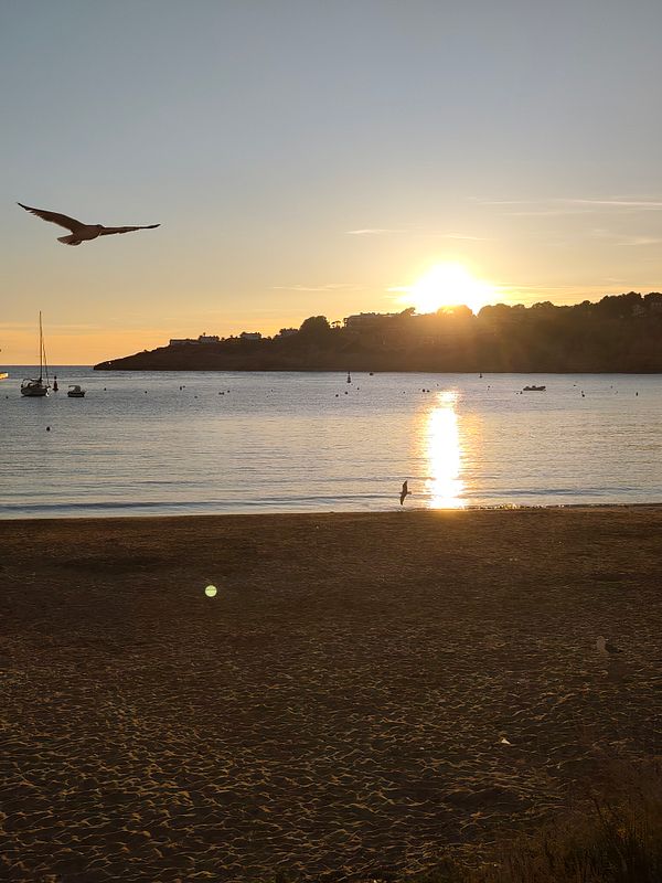 A scenic sunset over a tranquil lake with reflections of trees and clouds on the water.