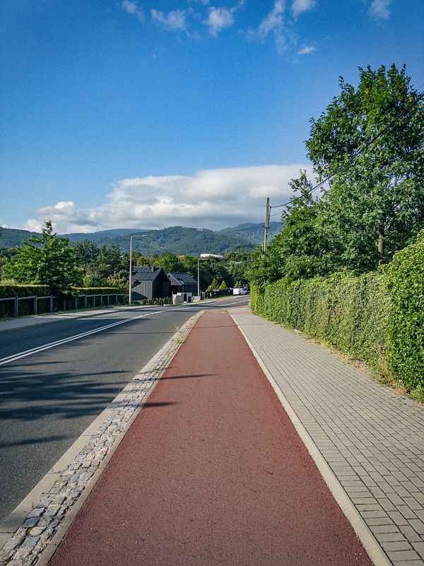 A photograph captures a morning walk scene with a person standing on a dirt path in a lush green environment.