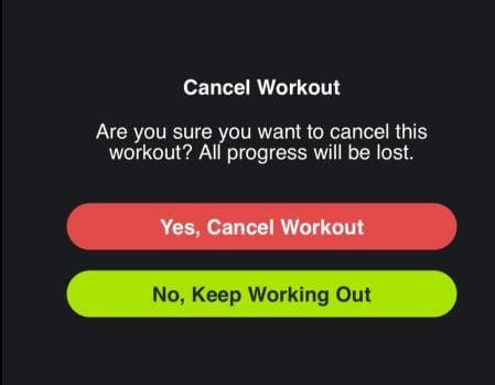 A confirmation dialog for canceling a workout with two action buttons.