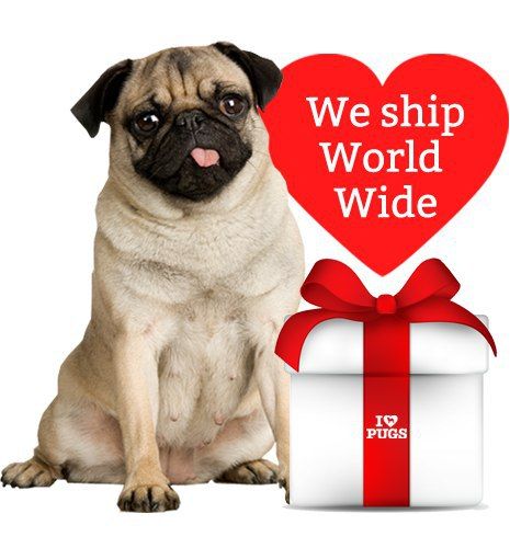 The image features a pug sitting next to a heart and a gift box with text promoting worldwide shipping.