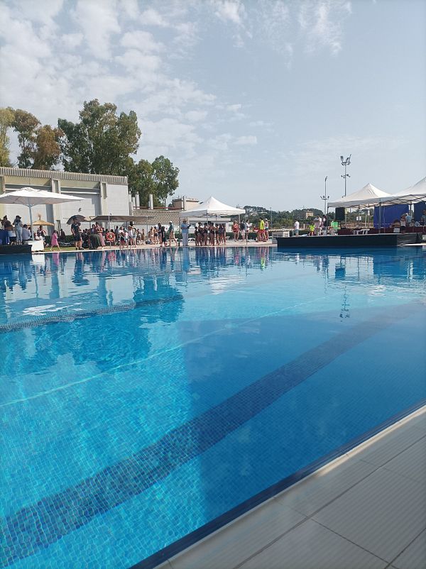 A vibrant outdoor swimming pool setting during a synchronized swimming competition.
