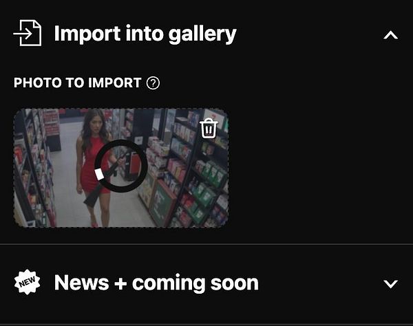 The image displays a user interface for importing a photo into a gallery.