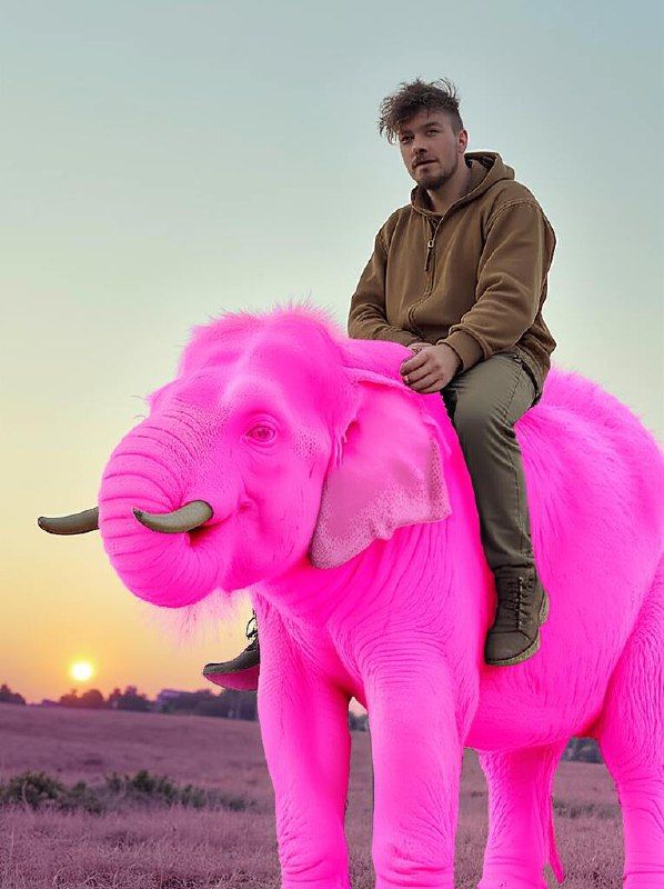 A person is riding a bright pink elephant against a sunset backdrop.