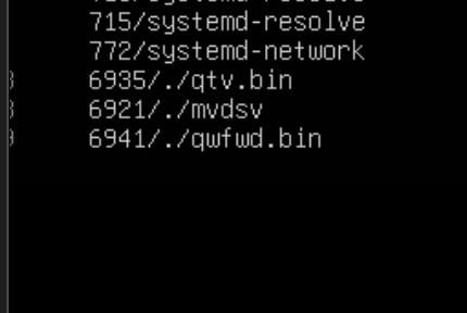 The image displays a terminal window showing a list of running processes on a server.
