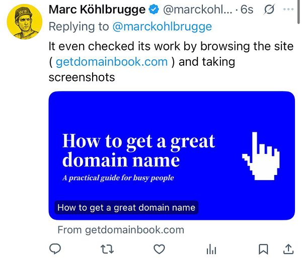 Photo of a blue notebook titled 'Domain Book' lying on top of several printed papers and furry surface.