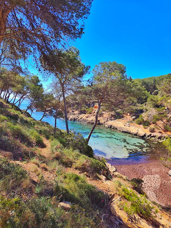 A smiling woman hiking on a rocky trail with scenic mountain views in the background.
