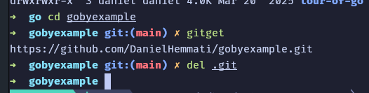 The image displays a terminal interface showing commands related to a Go project.