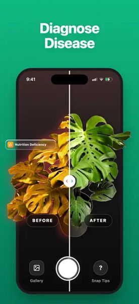 LivePlant