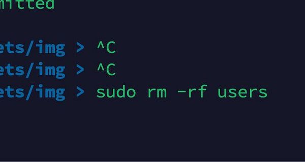 A terminal interface displaying a command to delete user profile photos on a VPS.