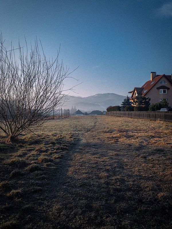 A serene morning landscape featuring a path leading towards a house and mountains in the background.