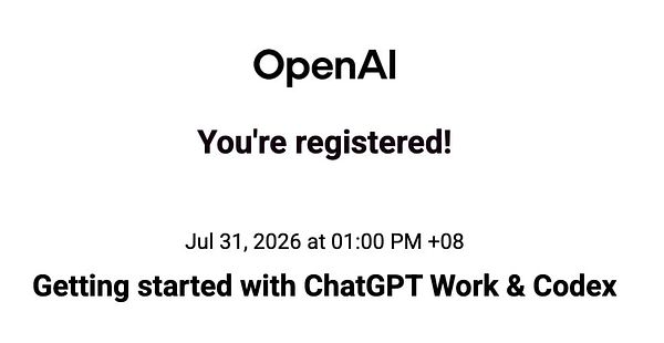 Screenshot of a webinar video call interface with six participants and a chat panel on the right.